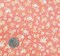 1 Yard Blush Hi Multi Chiffon Fabric Lightweight Sheer Polyester for Apparel & Crafts 58/60" Wide